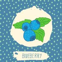 arándano dibujado a mano fruta bosquejada con hojas sobre fondo azul con patrón de puntos. Doodle vector arándano para logotipo, etiqueta, identidad de marca