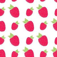 Fruit background Seamless pattern with hand drawn skech raspberry vector illustration