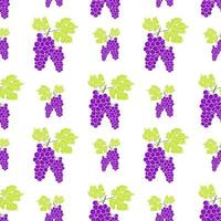 Fruit background Seamless pattern with hand drawn skech grape vector illustration