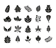 bundle of twenty autumn leaves silhouette style icons vector