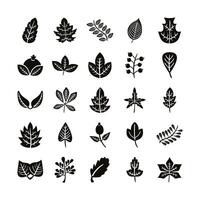 bundle of twenty five autumn leaves silhouette style vector