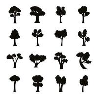 bundle of sixteen trees set collection icons vector