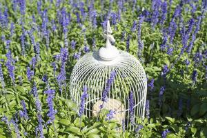 White Bird Cage in purple flowers photo