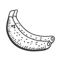 plátanos fruta mano dibujar y estilo de línea icono de diseño vectorial vector