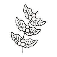 coffee plant grains and leafs nature line style icon vector