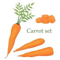 Carrot Set of Cartoon orange carrot isolated on a white background. Vector icons of fresh root vegetables