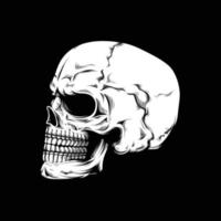 Skull Side View Vector Artwork