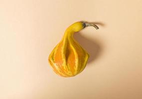 Pumpkin in the middle of a beige background Simple flat lay photo