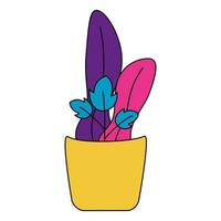 house plant in ceramic pot vector