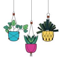 Hanging plants inside pots vector design