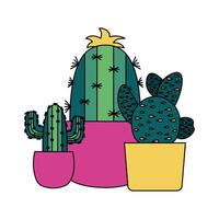 Isolated cactus inside pots vector design