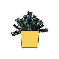 Isolated plant inside pot vector design