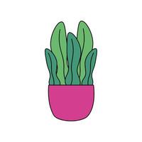 Isolated plant inside pot vector design
