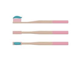 Set of bamboo toothbrushes side view with toothpaste vector