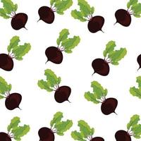 Vector seamless pattern with flat colorful beet Vector vegetable