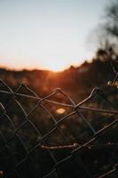 Fence with an out of focus background photo