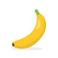 Banana Fruit Vector