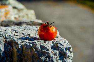 a persimmon dries in the sun