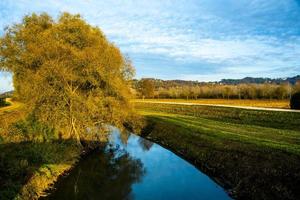 curva del río con árbol en otoño foto