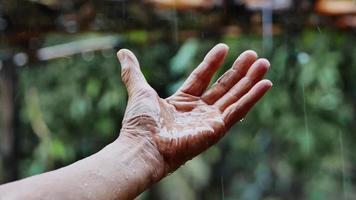 närbild hand av glad gammal man spela fånga regndroppar på suddig natur bakgrund jordbrukare är nöjda med regnet enligt säsongen video