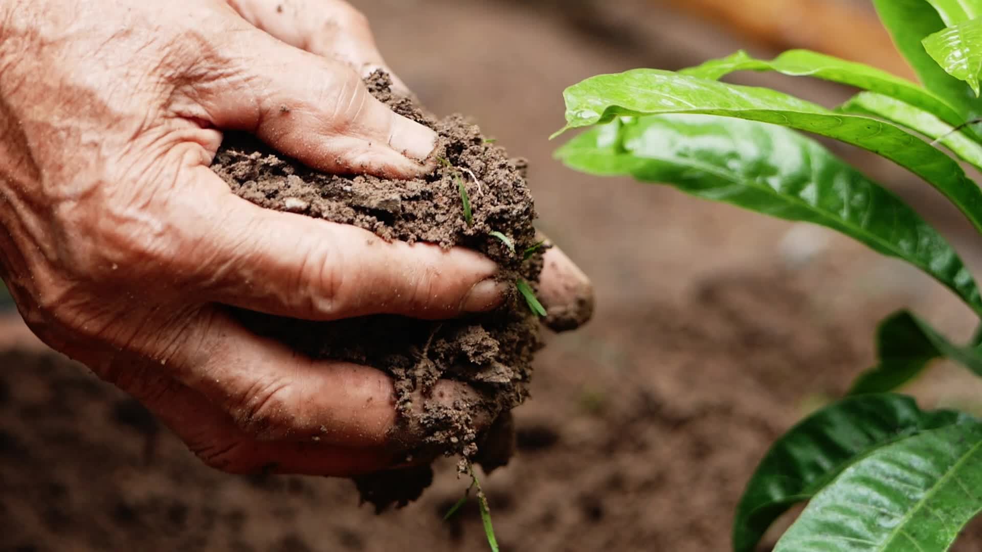 Farmer Stock Video Footage for Free Download