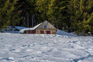 shed in the snow and trees photo