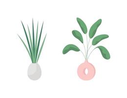 Indoor plant flat color vector object set