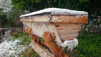Wooden hive during the winter photo