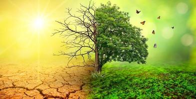 Concept of environmental conservation and global warming photo