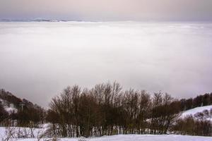 árboles nubes y nieve dos foto