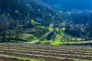 countryside life zero photo