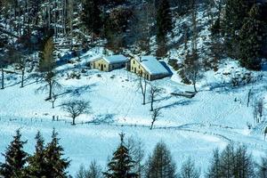 alpine refuge in the woods photo