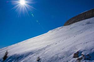 snow and backlight photo