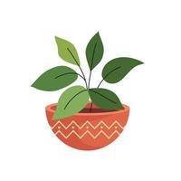 house plant in ceramic pot in orange color with waves line vector