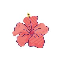 cute hibiscus flower nature isolated icon vector