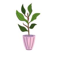 planta de la casa en icono de olla de cerámica rosa vector