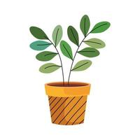 house plant in yellow color with lines ceramic pot vector