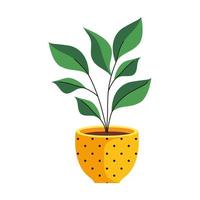 house plant in yellow color dotted ceramic pot vector