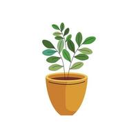 house plant in yellow color ceramic pot vector