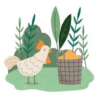 cute chicken eating grains in basket cartoon vector