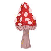 fungus plant nature vector