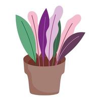 plant in pot vector