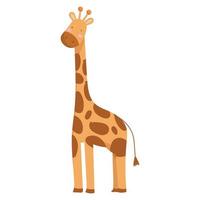 giraffe animal cartoon vector