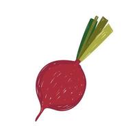 healthy food vegetable beetroot flat icon style vector