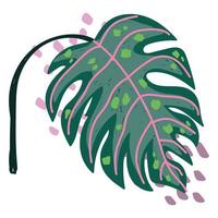 tropical exotic leaf monstera abstract style vector