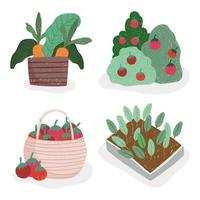 gardening and agriculture tomatoes carrots and plants vector