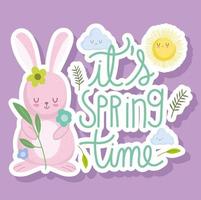 spring time rabbit flowers and sun cartoon card vector