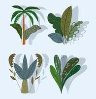 plantas tropicales árbol plams follaje naturaleza conjunto de dibujos animados vector