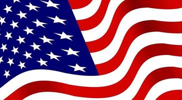 Wavy American Flag Macro vector