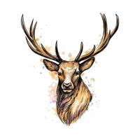 Portrait of a deer head from a splash of watercolor hand drawn sketch Vector illustration of paints